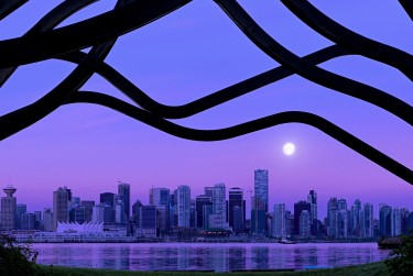 深圳大鹏区借钱空放利息揭秘：揭秘真实利率，助您明智贷款