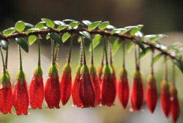 深圳大鹏区私人快速借钱网，轻松解决资金难题