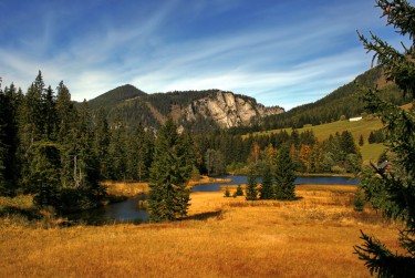 深圳大鹏区民间私贷攻略：揭秘低成本借贷的秘密