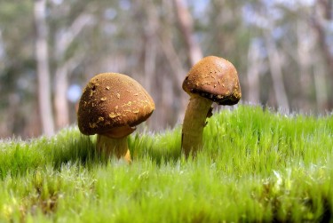 深圳大鹏区私人老板放款：轻松融资的秘密通道